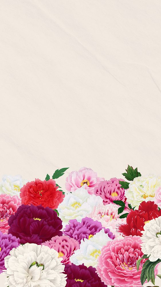 Spring carnation flowers mobile wallpaper, botanical aesthetic border background