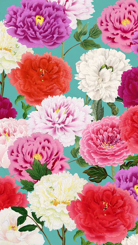 Colorful carnation flowers iPhone wallpaper, botanical pattern background