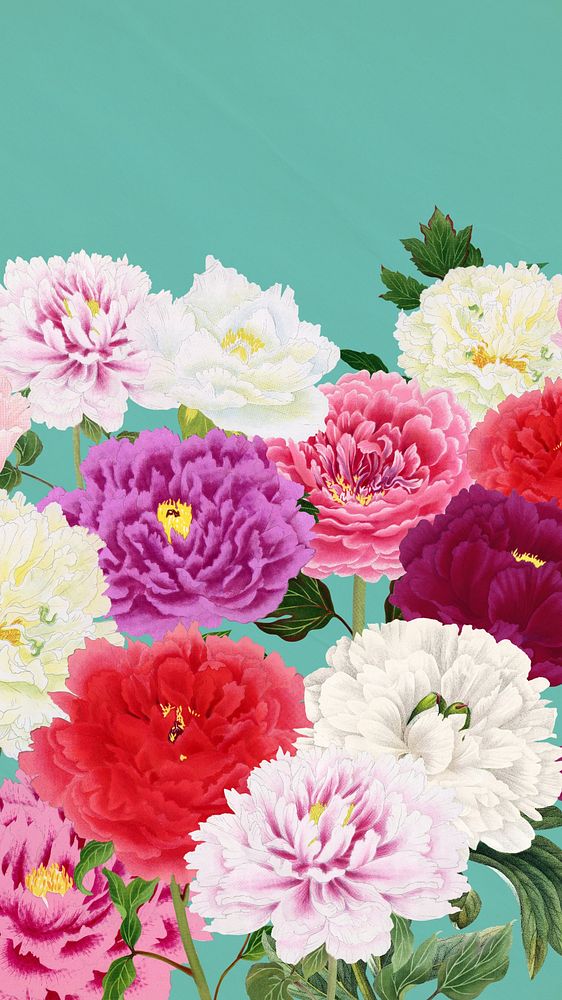 Spring carnation flowers mobile wallpaper, botanical aesthetic border background