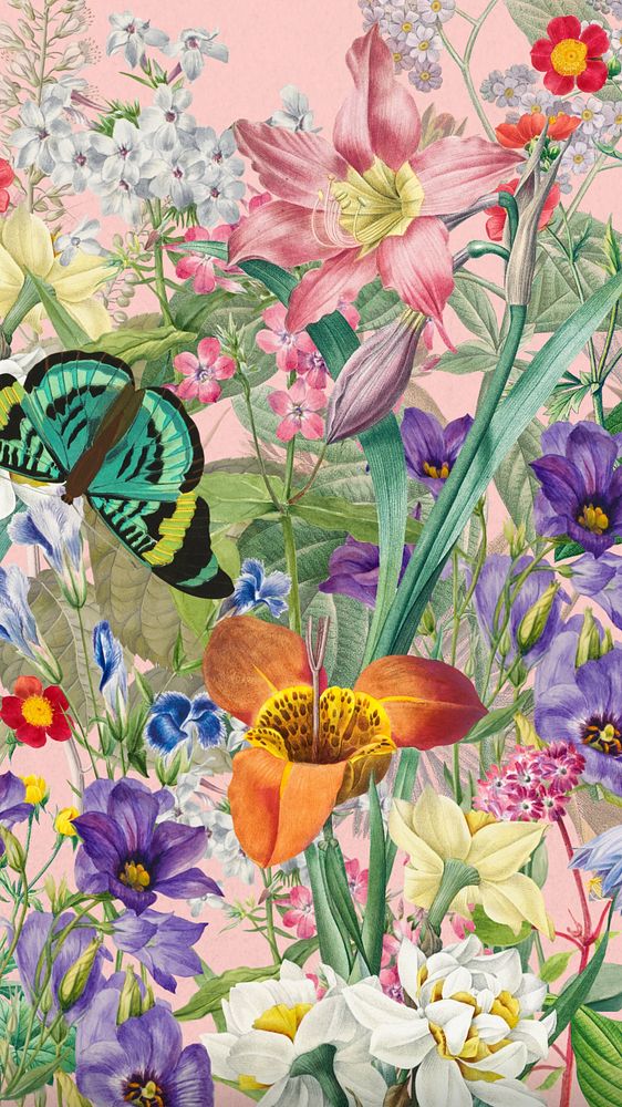 Aesthetic wildflower pattern iPhone wallpaper, vintage botanical illustration