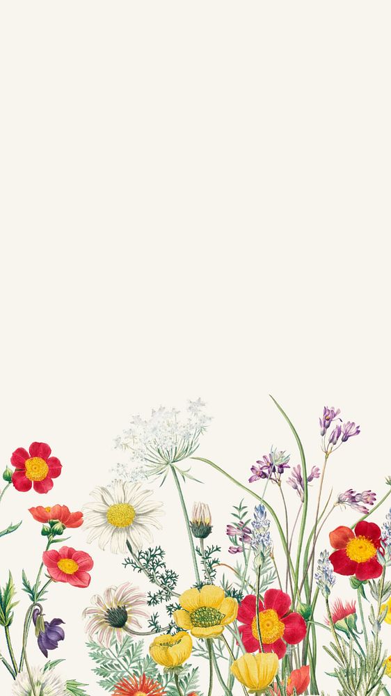 Spring wildflower border mobile wallpaper, | Premium Photo - rawpixel