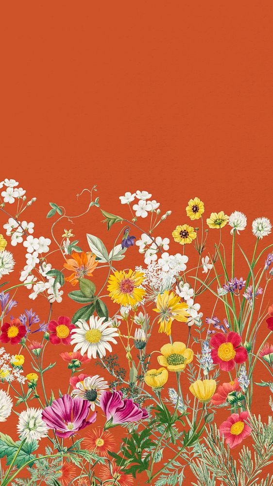 Spring wildflower border mobile wallpaper, Premium Photo rawpixel