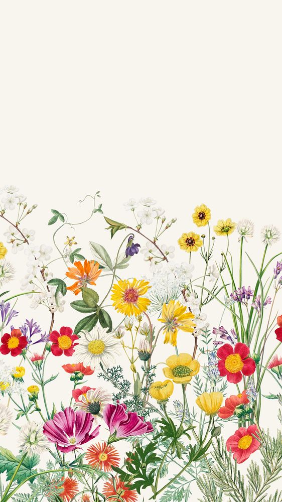 Spring wildflower border mobile wallpaper, colorful botanical background