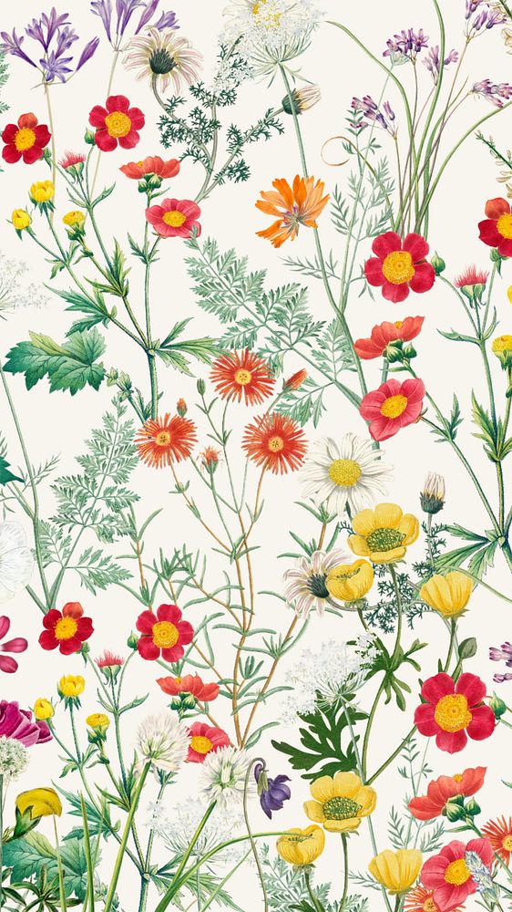 Spring flower pattern mobile wallpaper, aesthetic botanical illustration