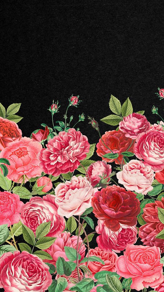 Valentine's flower border mobile wallpaper, pink roses background