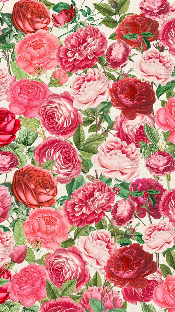 Pink rose pattern phone wallpaper, Valentine's flower background