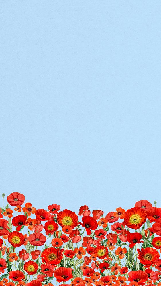 Poppy flower border phone wallpaper, Summer floral background