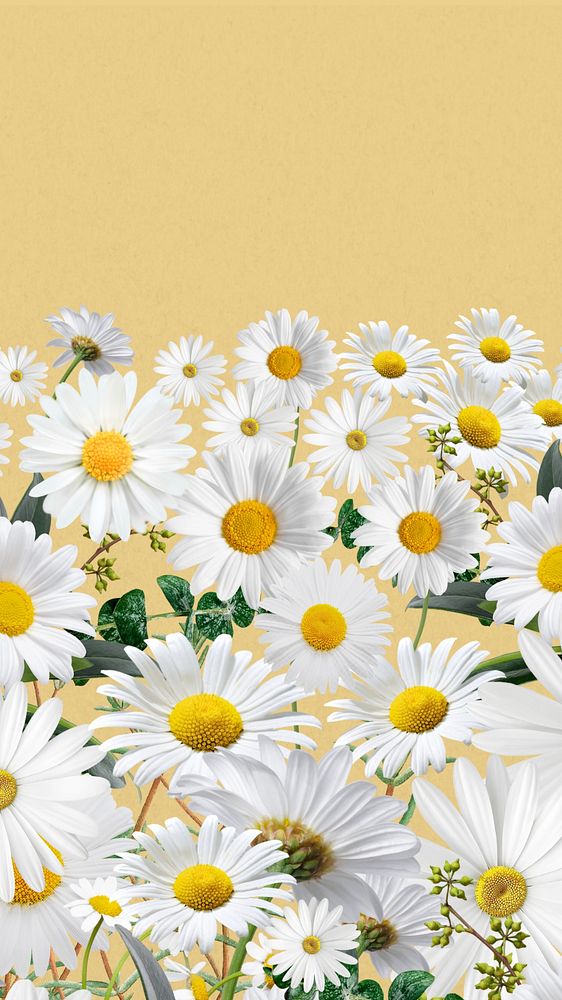 Daisy flower border iPhone wallpaper, pastel yellow background