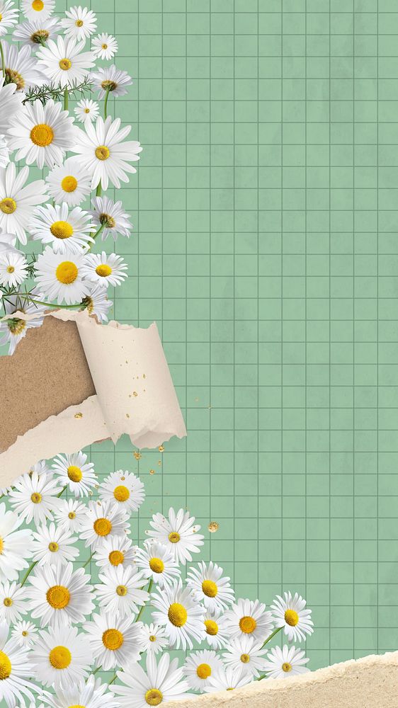 Ripped paper daisy mobile wallpaper, grid patterned background