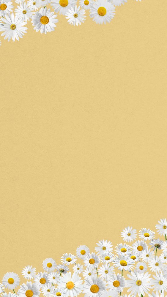 Daisy flower border iPhone wallpaper, pastel yellow background