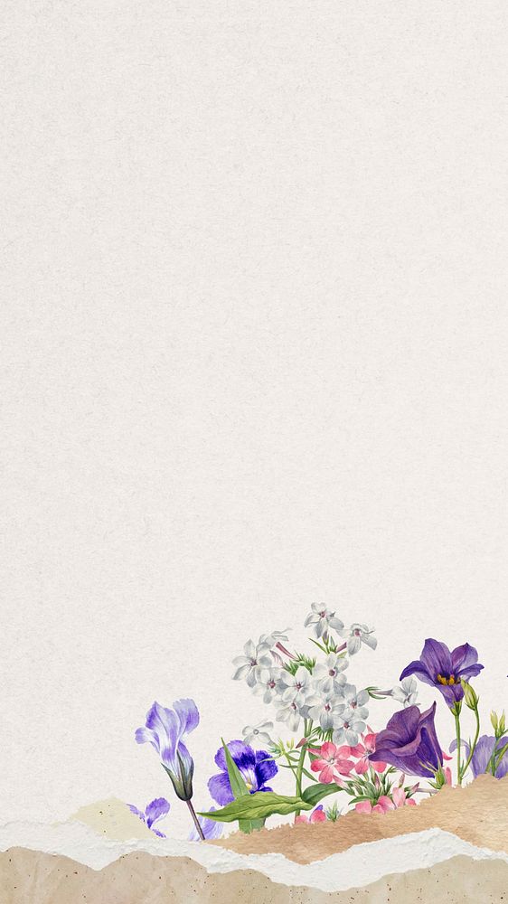 Beige aesthetic flowers iPhone wallpaper, ripped paper border background