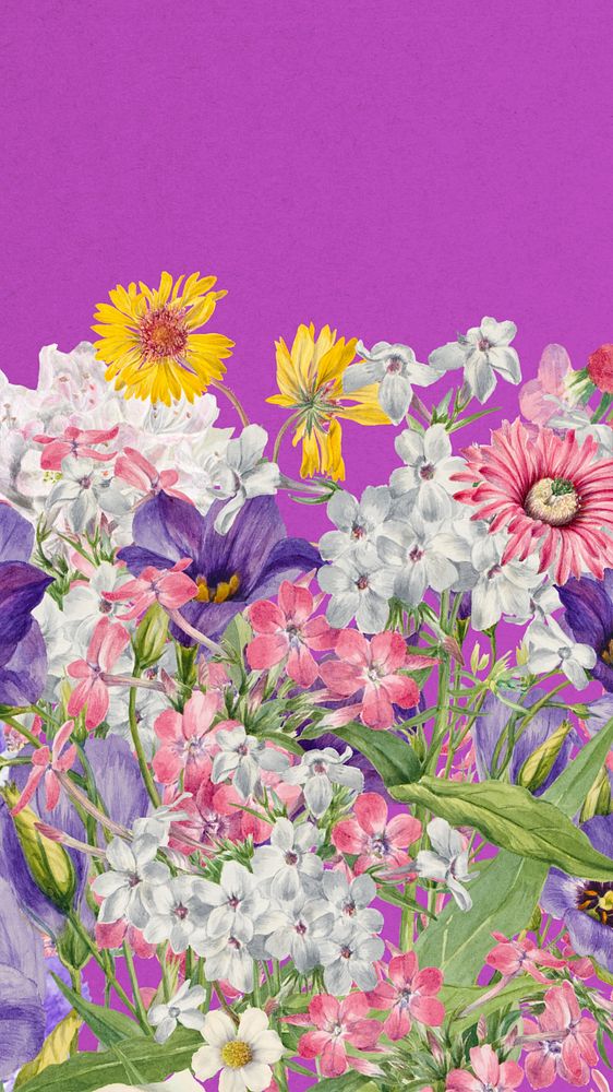 Colorful purple wildflower phone wallpaper, botanical border background