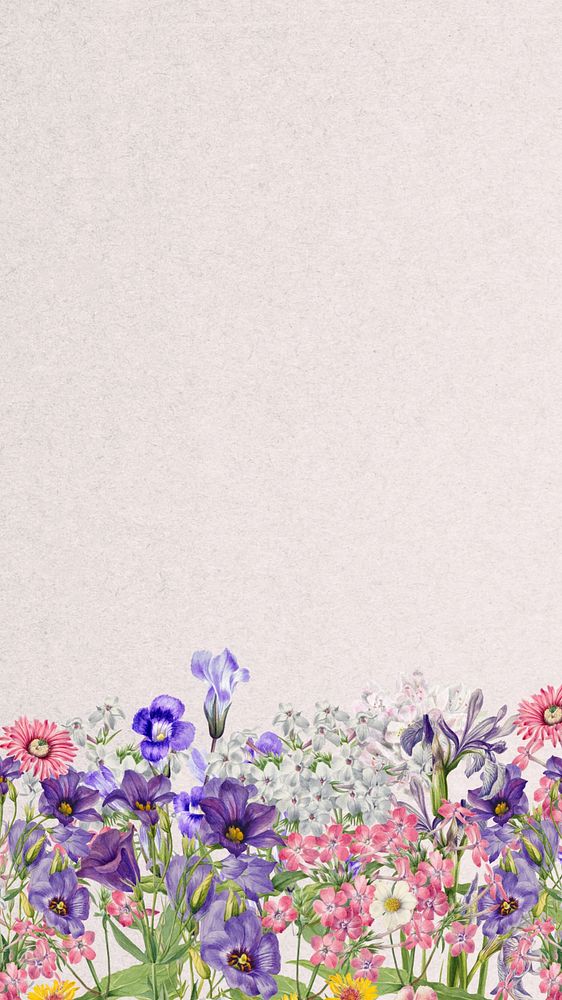 Aesthetic purple wildflower phone wallpaper, botanical border background