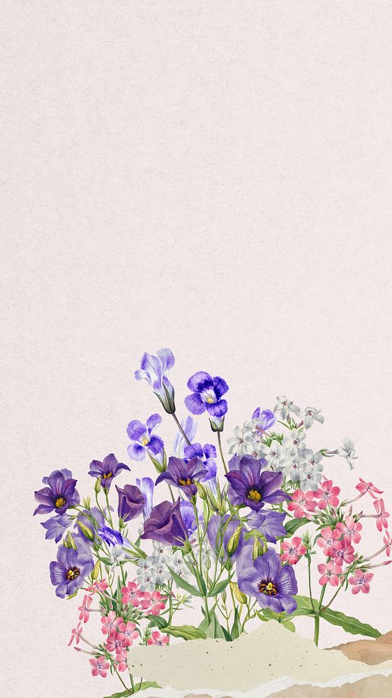 Purple bluebell flowers iPhone wallpaper, ripped paper border background