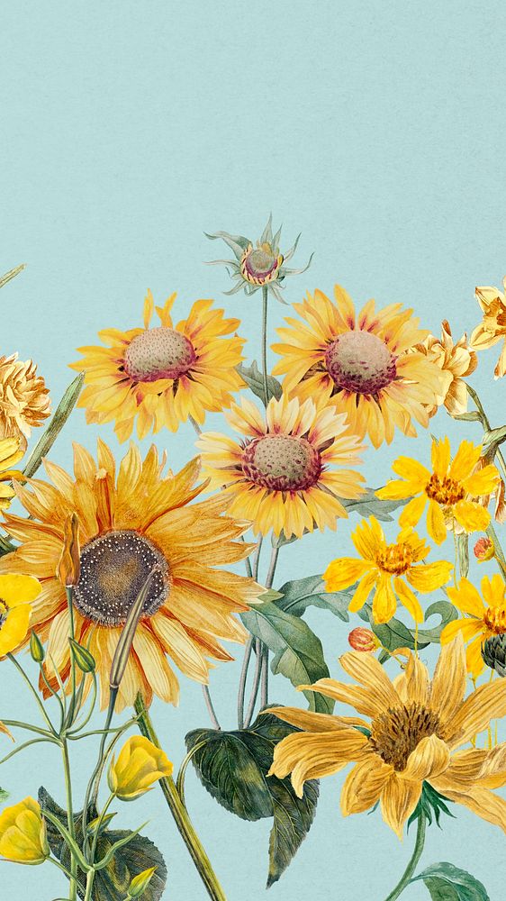  Aesthetic blue sunflowers phone wallpaper, beautiful botanical illustration