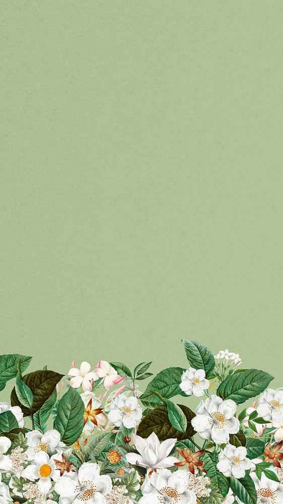 Jasmine flower border mobile wallpaper, green textured background