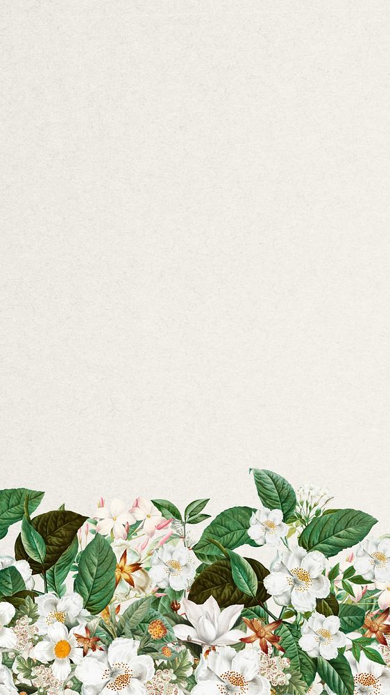 Jasmine flower border mobile wallpaper, off-white textured background