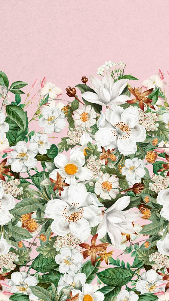 Beautiful jasmine flowers iPhone wallpaper, botanical illustration