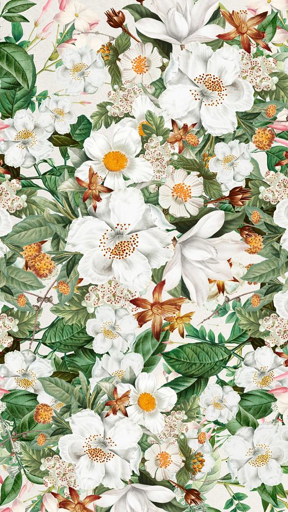 White floral pattern phone wallpaper, Spring flower background