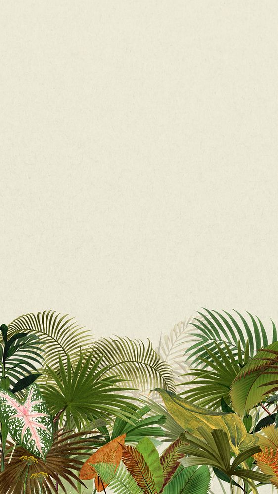 Tropical palm trees iPhone wallpaper, botanical border background