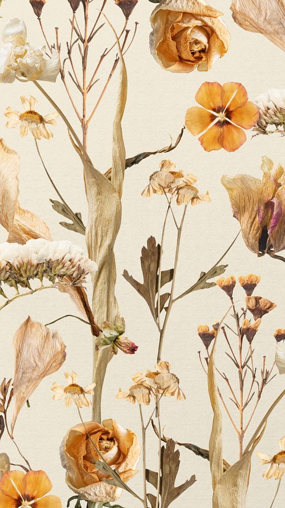 Aesthetic autumn flower phone wallpaper, seasonal botanical background