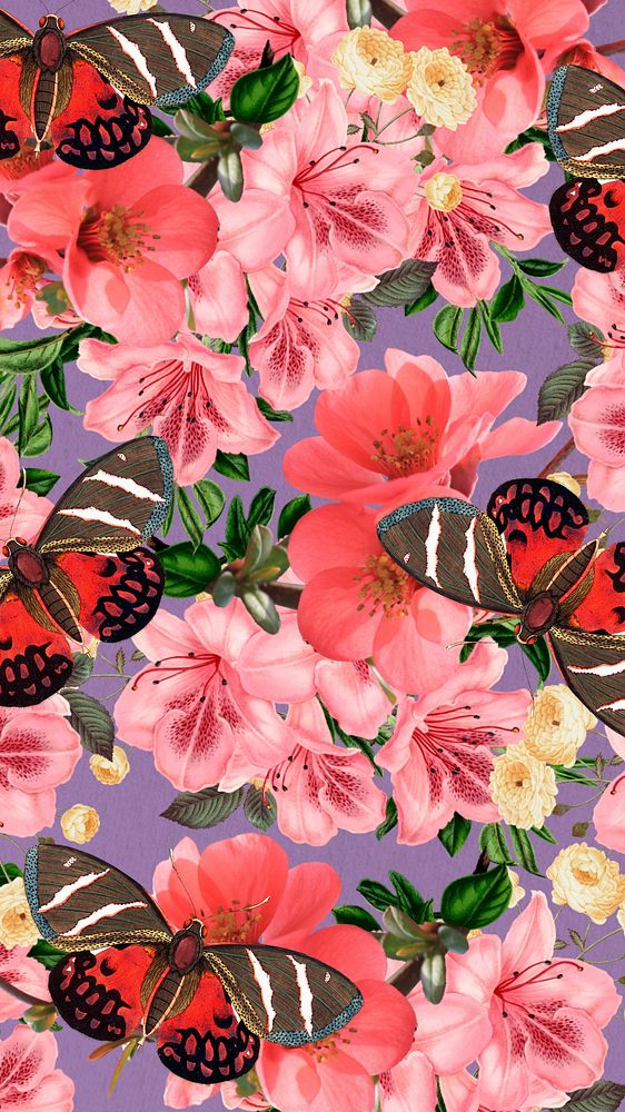 Pink azalea flower mobile wallpaper, Chinese quince botanical illustration