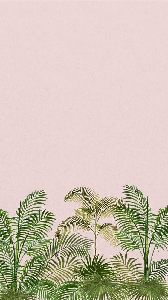 Tropical palm trees mobile wallpaper, botanical border background