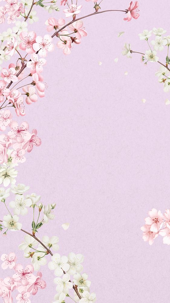 Japanese cherry blossom iPhone wallpaper, pink flowers background