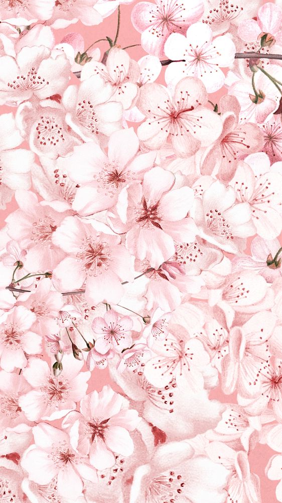 Cherry blossom flowers phone wallpaper, pink pattern background