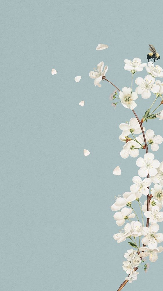 Amarena cherry flower phone wallpaper, | Premium Photo - rawpixel