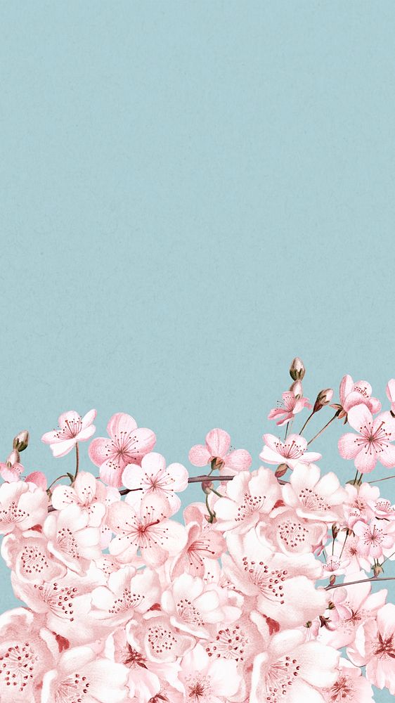 Japanese cherry blossom iPhone wallpaper, pink flowers background
