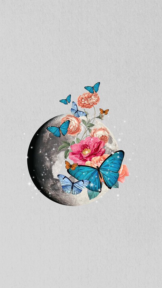 Butterfly globe aesthetic iPhone wallpaper