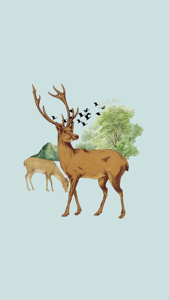 Stag deer animal phone wallpaper, environment collage