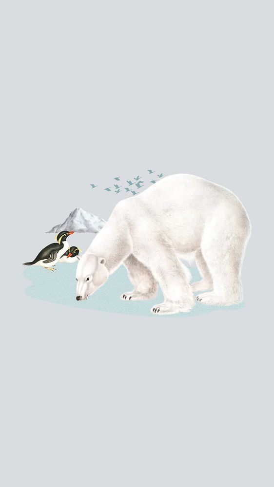 Polar bear phone wallpaper, environment collage