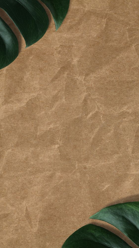 Crumpled paper texture mobile wallpaper, monstera leaf border