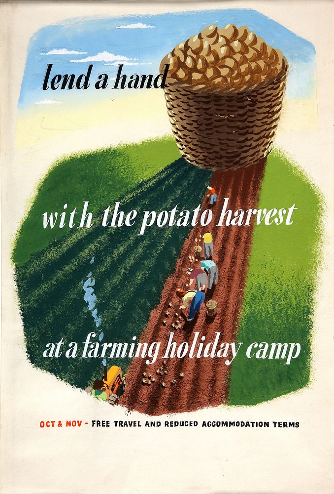INF3-102 Food Production Lend a hand with the potato harvest (workers in field) by Eileen Evans.