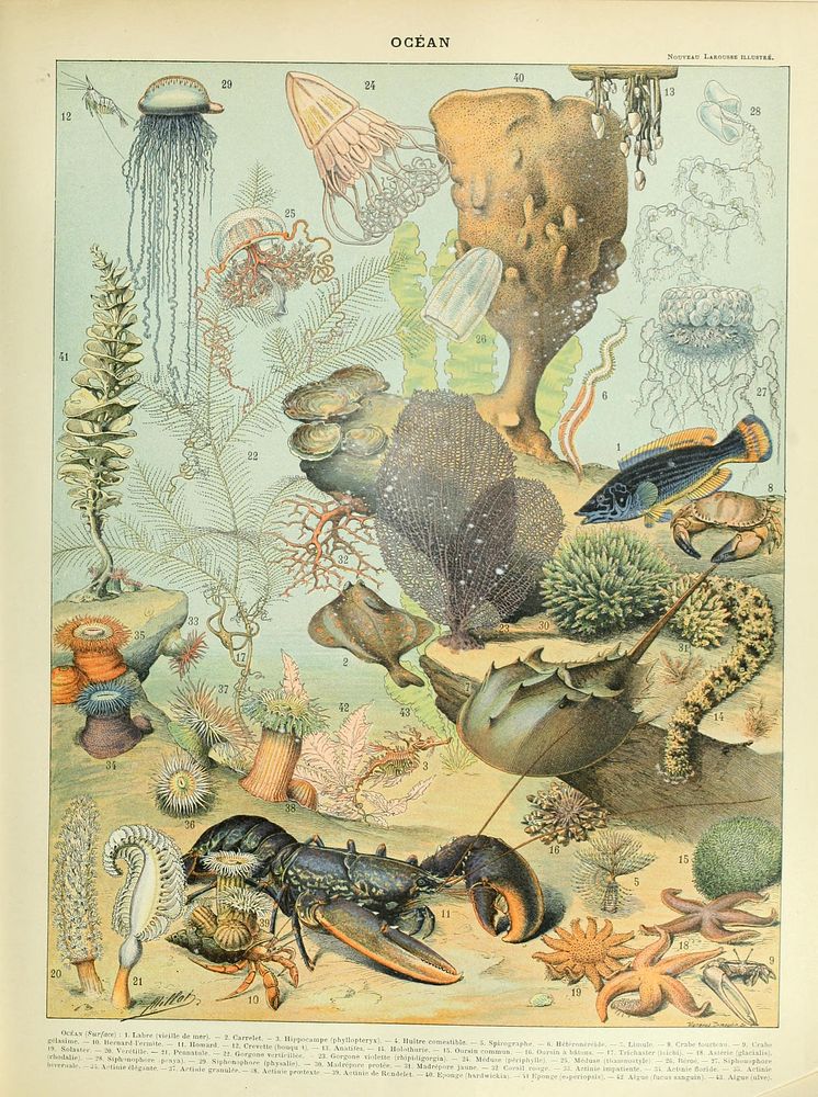 Adolphe Millot illustraions for Nouveau Larousse illustré