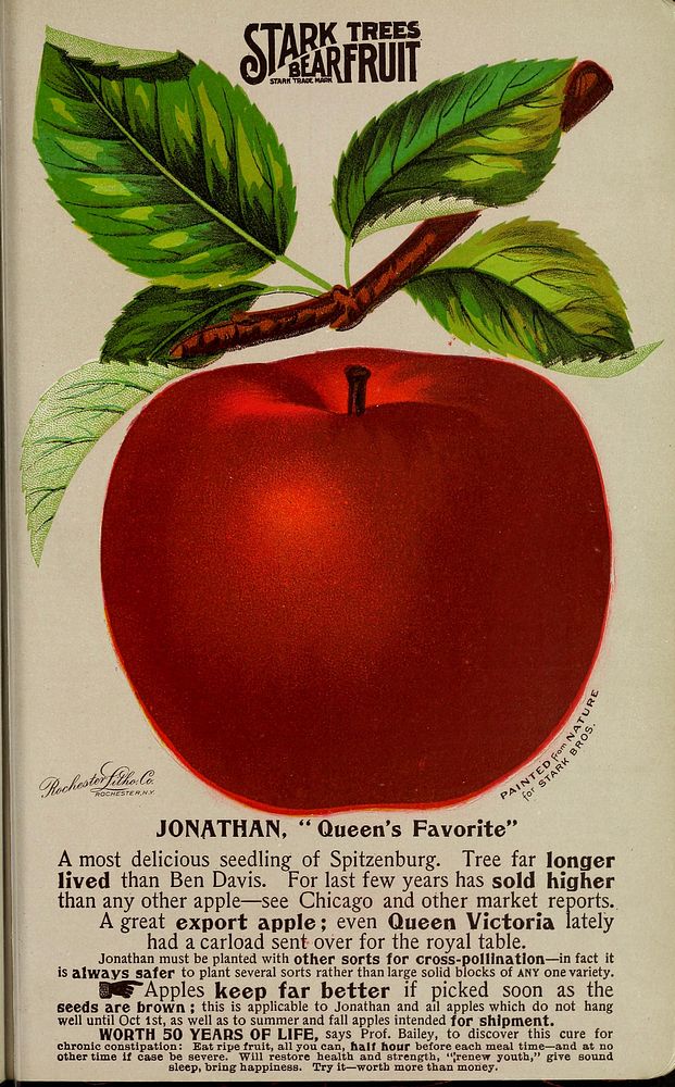 Title: Stark fruitsIdentifier: CAT31282462 (find matches)Year: 1896 (1890s)Authors: Stark Bro's Nurseries & Orchards Co;…