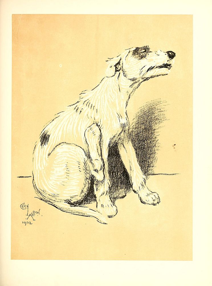 Identifier: dogdayorangelinheman (find matches)Title: A dog day; or, The angel in the houseYear: 1902 (1900s)Authors:…