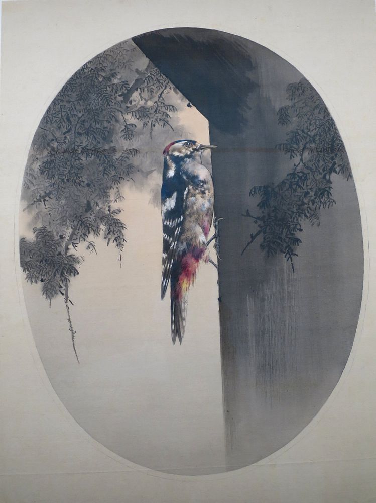 Great Spotted Woodpecker on Japanese Cypress by Watanabe Seitei (Watanabe Shotei), c. 1906, color on silk, Tokyo National…