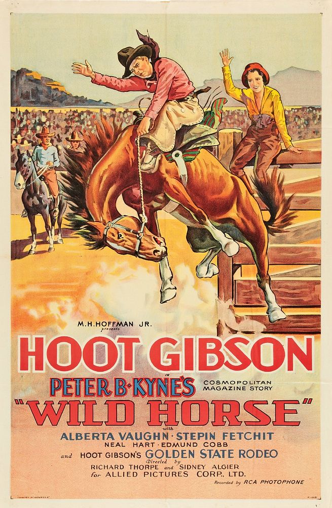 Poster for the 1931 film Wild Horses.