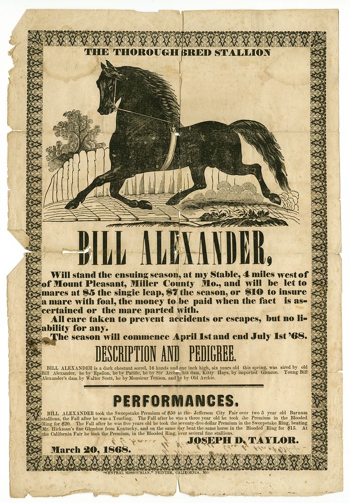 Printed by Central Missourian, California, Mo.Title: Stud horse poster offering Bill Alexander, with cut of stallion, March…