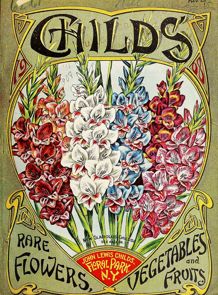 Gladiolus childsii front cover for Childs' rare flowers, vegetables, and fruit for 1908. From the Henry G. Gilbert Nursery…
