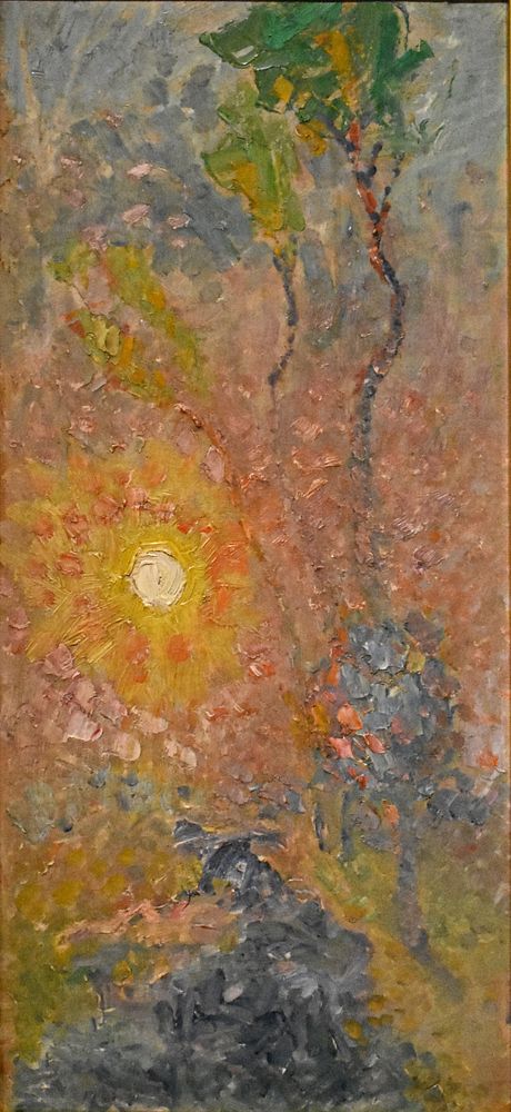 Rihard Jakopič Study of the Sun