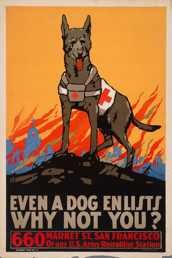 A military recruitment poster reading "Even a dog enlists, why not you?" for World War I