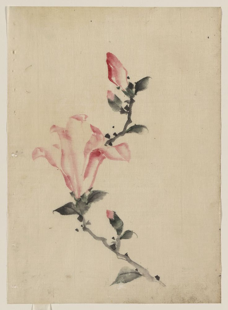 Katsushika Hokusai's Large Pink Blossom on a Stem with Three Additional Buds