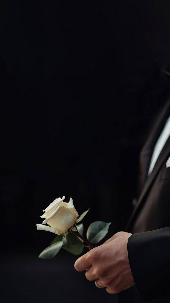 photo of hand in suit put white rose on a funeral casker.  