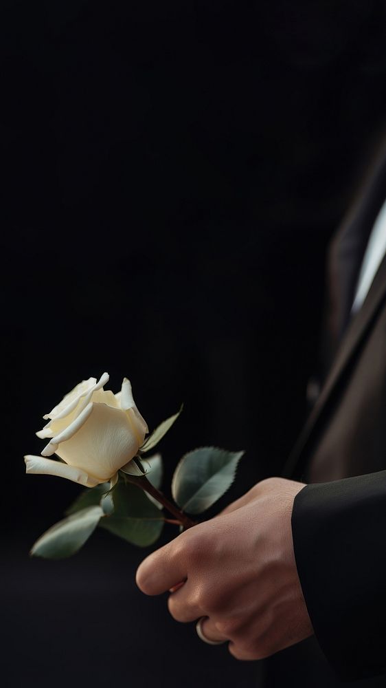 photo of hand in suit put white rose on a funeral casker. AI generated Image by rawpixel. 