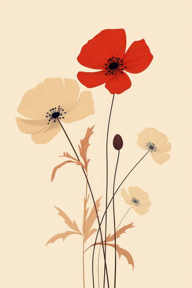 Colorful wildflower poppy plant petal. AI generated Image by rawpixel.