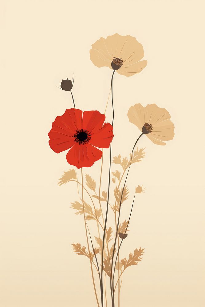 Colorful wildflower poppy plant art. AI generated Image by rawpixel.